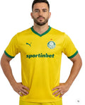 Camisa Palmeiras 25/26 Tailandesa - Tor. Masc