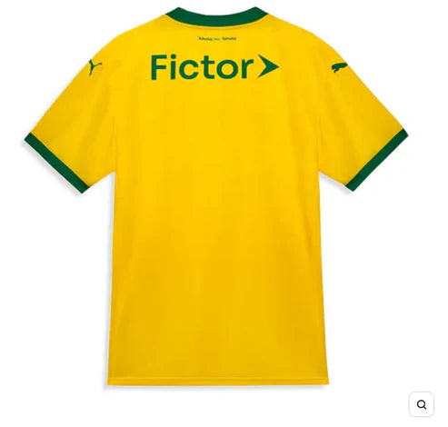 Camisa Palmeiras 25/26 Tailandesa - Tor. Masc